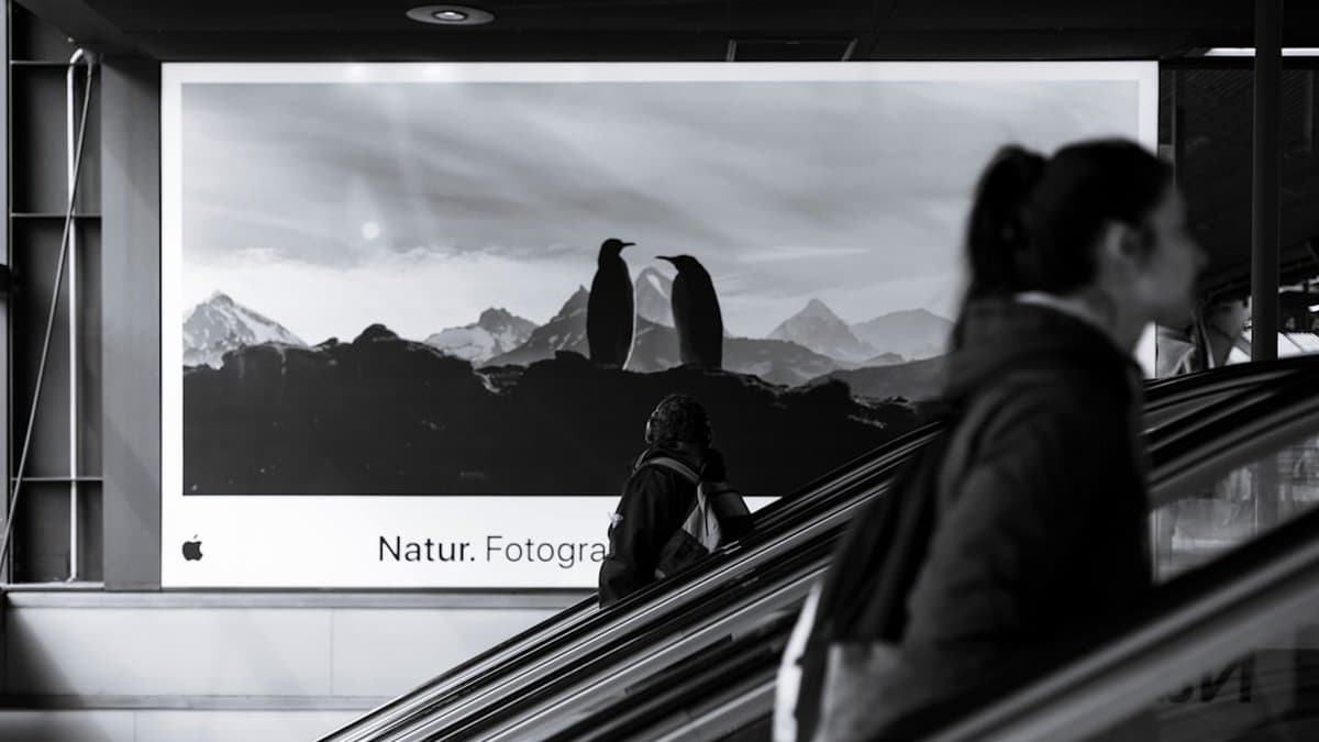 AI-powered video editing tool automatically generating and styling captions for YouTube Shorts with customization options visible — Photo by Pascal Meier on Unsplash