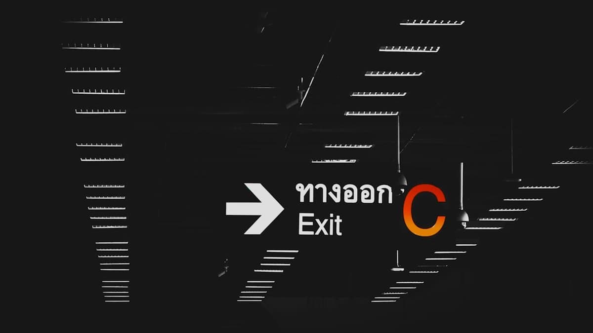 Professional subtitle file format exports showing SRT and VTT compatibility for cross-platform delivery — Photo by sanjoy saha on Unsplash