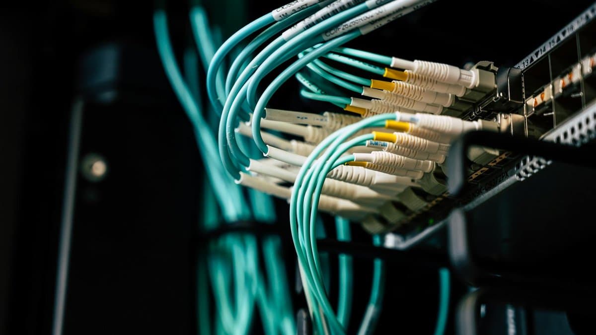 Ein miteinander verbundenes globales Netzwerk, das symbolisiert, wie KI Sprachbarrieren überwindet und Content-Creator mit riesigen internationalen Zielgruppen verbindet. — Foto von Brett Sayles auf Pexels