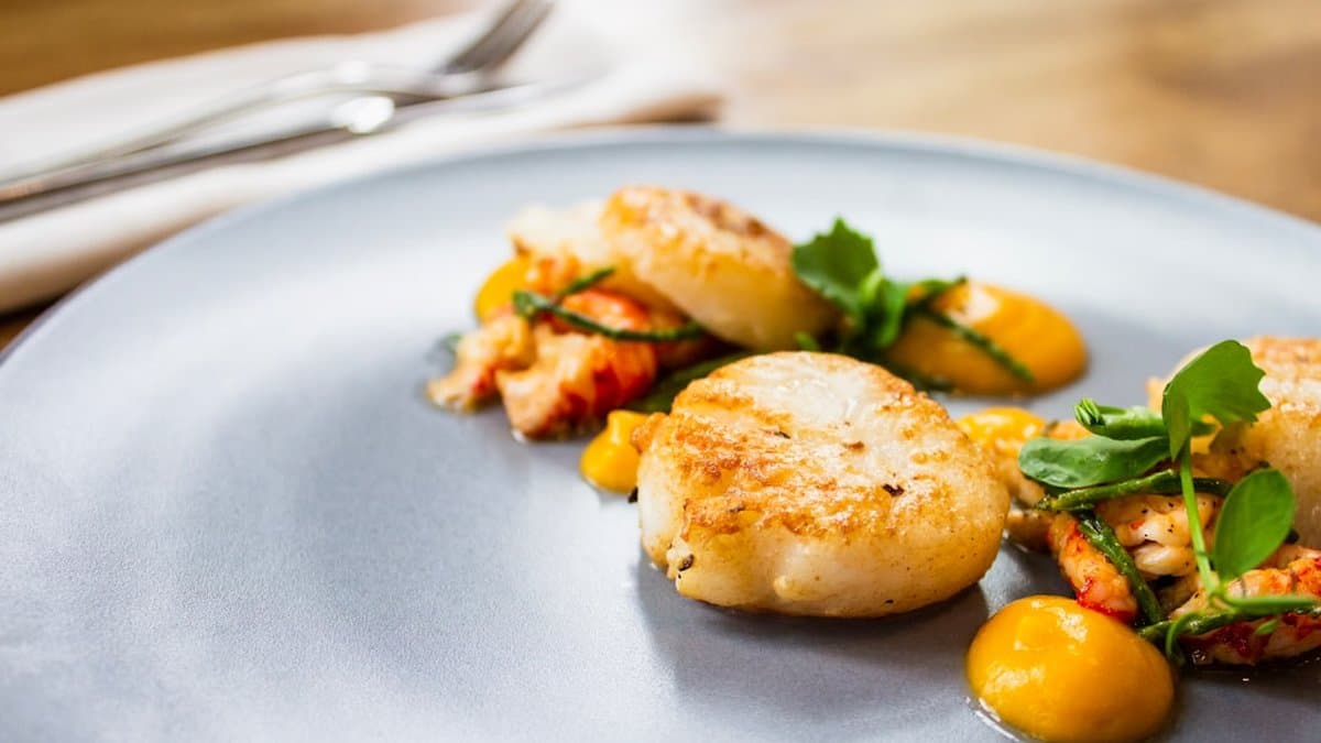 Engaging short-form video of signature restaurant dish with clear booking button and call-to-action for making reservations โ Photo by Louis Hansel on Unsplash